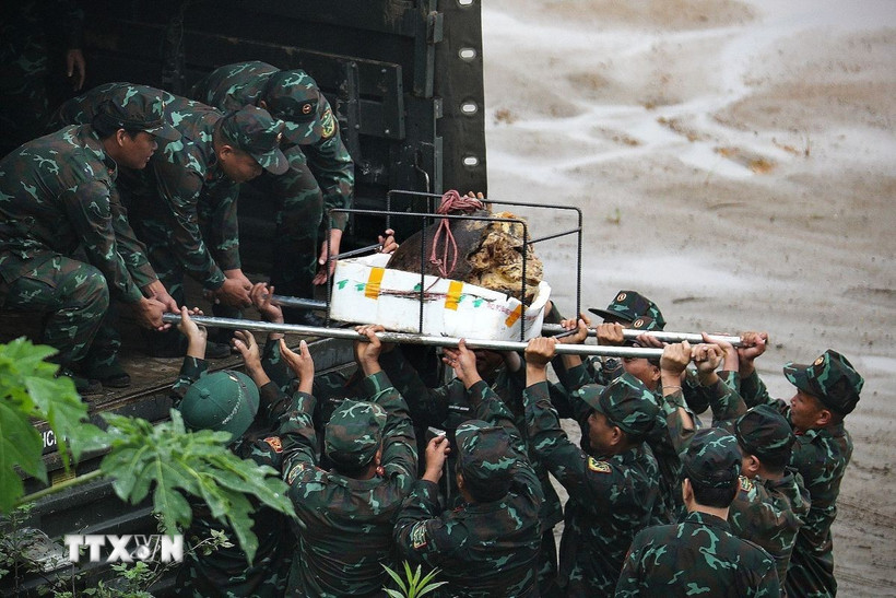 Lực lượng cán bộ chiến sỹ di chuyển đầu nổ quả bom có trọng lượng gần 1000kg lên xe để chuyển đi hủy nổ. (Ảnh: Trọng Đạt/TTXVN)
