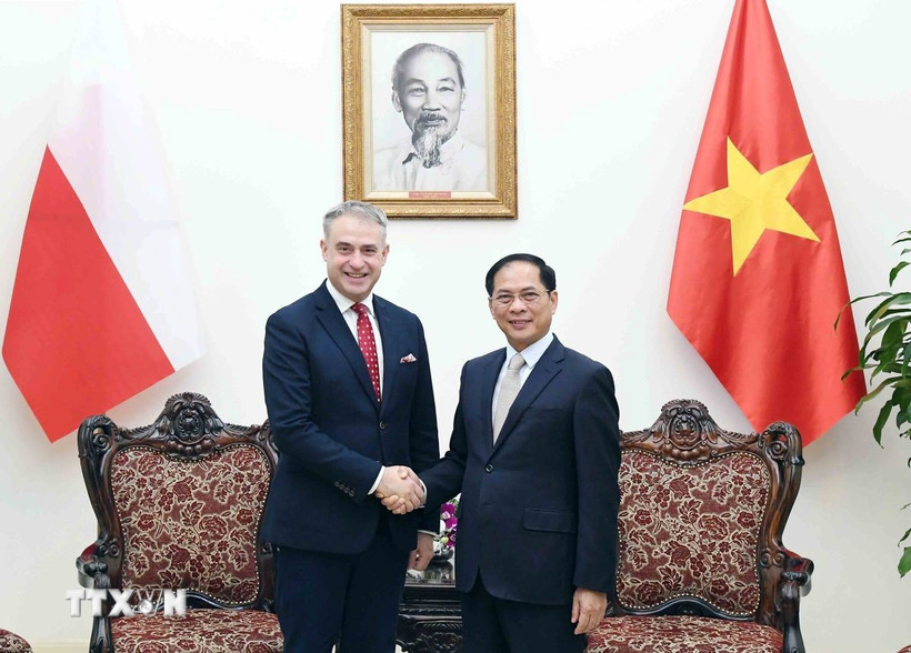 Phó Thủ tướng Bùi Thanh Sơn tiếp Phó Thủ tướng, Bộ trưởng Kỹ thuật số Cộng hòa Ba Lan Krzysztof Gawkowski. (Ảnh: An Đăng/TTXVN)