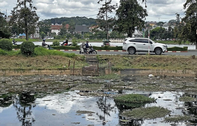 Tình trạng ô nhiễm ở một hồ nước tại thành phố Đà Lạt. (Ảnh: Nguyễn Dũng/TTXVN)