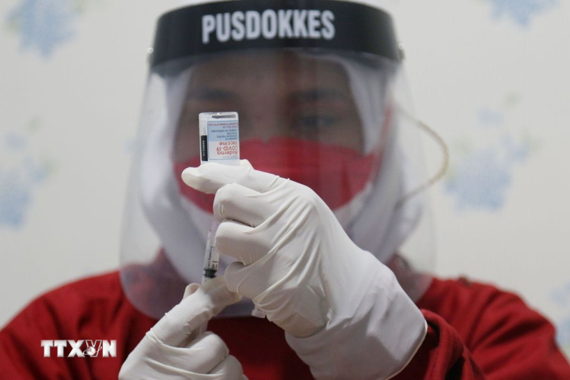 Ảnh minh họa. (Ảnh: THX/TTXVN)