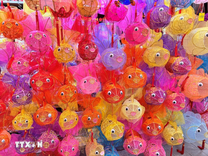Các mẫu đèn lồng truyền thống do gia đình bà Hoàng Kiện Đệ chế tác. (Ảnh: Mạc Luyện/TTXVN)
