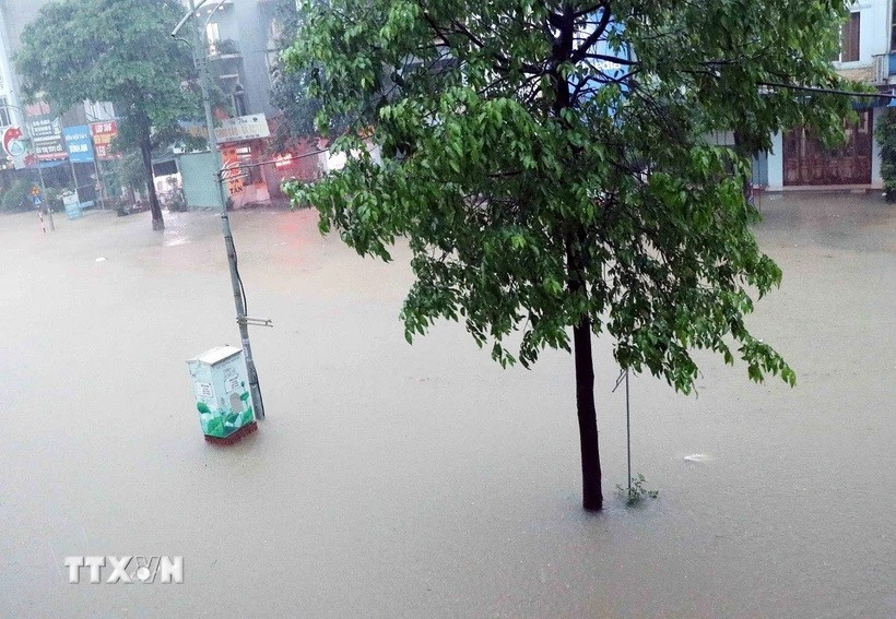 Ảnh minh họa. (Ảnh: Trần Trang/TTXVN)