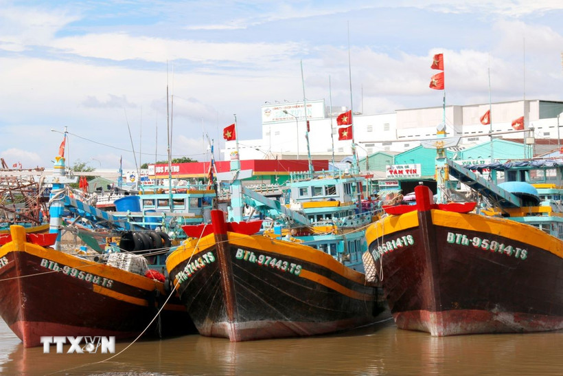 Tàu cá đánh bắt xa bờ neo đậu trên sông Cà Ty, phường Phan Thiết. (Ảnh: Nguyễn Thanh/TTXVN)