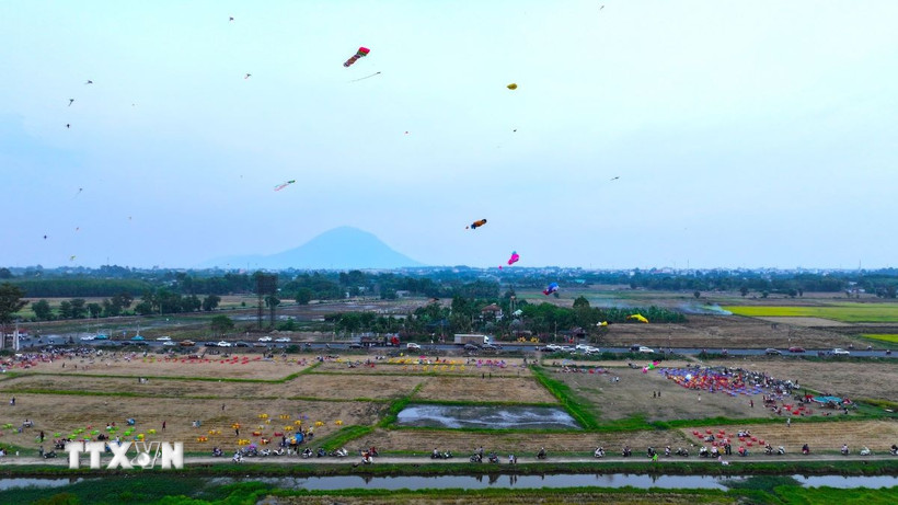 Cánh đồng tỉnh Tây Ninh. (Ảnh: Minh Phú/TTXVN)