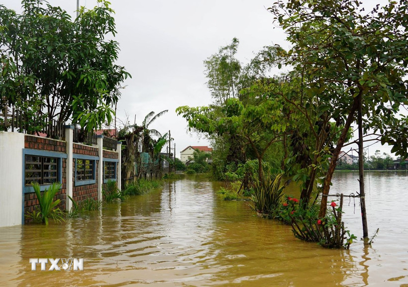 Mưa lớn kéo dài khiến nhiều địa phương tại Quảng Trị ngập sâu Hệ thống đường giao thông của thôn Tiền Phong, xã Bắc Trạch bị ngập sâu trong nước. (Ảnh: Thanh Thuỷ/TTXVN)
