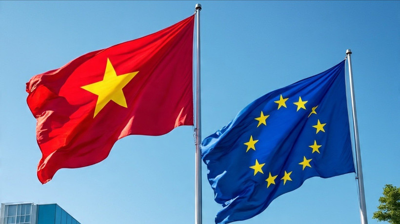 Quan hệ Việt Nam -EU đã và đang có những bước phát triển tích cực trên tất cả các lĩnh vực sau 35 năm thiết lập quan hệ ngoại giao. (Ảnh: Vietnam+)