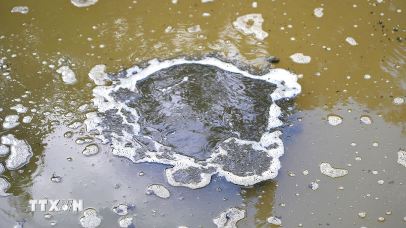 Nguồn nước trên suối Bà Sự xảy ra hiện tượng yếm khí, sủi bọt, bốc mùi hôi thối. (Ảnh: Minh Phú/TTXVN)