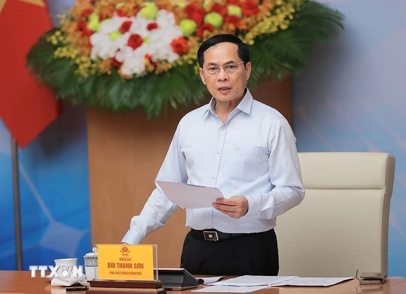 Phó Thủ tướng, Bộ trưởng Bộ Ngoại giao Bùi Thanh Sơn phát biểu. (Ảnh: An Đăng/TTXVN)
