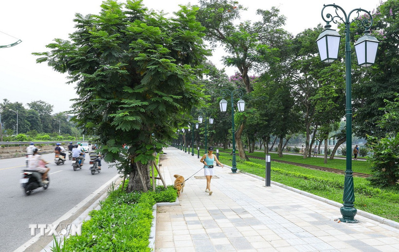 (Ảnh minh họa: Lê Đông/TTXVN)