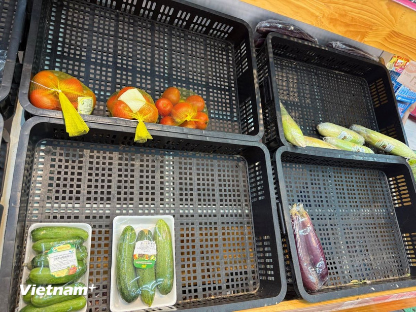 Ảnh minh họa. (Nguồn: Vietnam+)