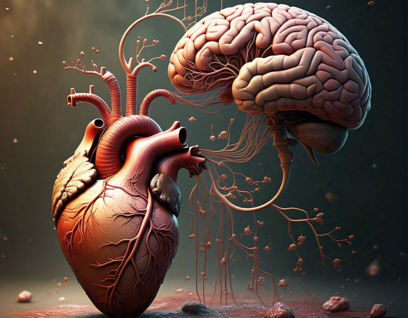 Ảnh minh họa (Vietnam+)