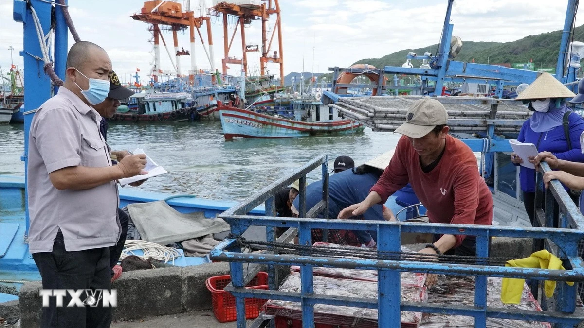 Đà Nẵng khắc phục thế 'vàng' IUU thông qua chính sách hỗ trợ phát triển thủy sản