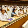 Các đại biểu Quốc hội biểu quyết thông qua các dự án Luật tại Kỳ họp thứ 9. (Ảnh: TTXVN)
