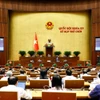 Quốc hội thảo luận về Luật Chất lượng sản phẩm, hàng hóa. (Ảnh: TTXVN)