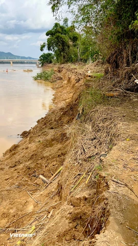 Sạt lở bờ sông Vu Gia, nông dân Đại Lộc xót xa nhìn cảnh mất hàng chục ha đất sản xuất