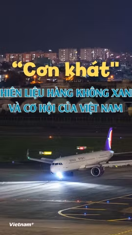 Cảng hàng không quốc tế Đà Nẵng. (Ảnh: Thanh Phong/Vietnam+)