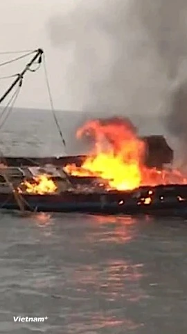 Hình chỉ mang tính minh họa (Nguồn: PV/Vietnam+)