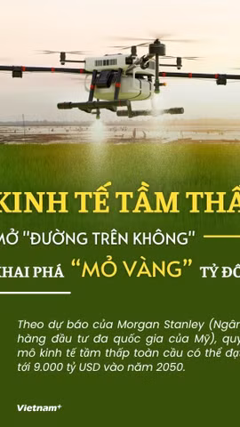 "Kinh tế tầm thấp": Mở "đường trên không" khai phá mỏ vàng tỷ đô