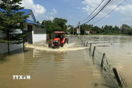 Nước vẫn tiếp tục lên cao tại thôn Trung Kiên xã Trung Giã, Hà Nội. (Ảnh: Quốc Lũy/TTXVN)