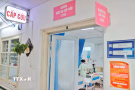 Hiện nay, đang là thời điểm giao mùa, nhiều bệnh nhi mắc các bệnh như tay chân miệng, sởi, sốt xuất huyết… (Ảnh: Minh Quyết/TTXVN)
