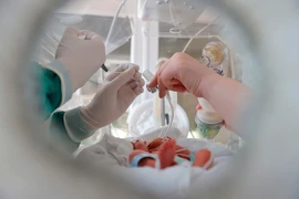 Ảnh minh họa. (Ảnh: TTXVN/Vietnam+)