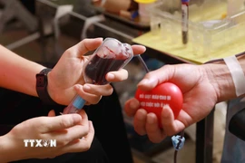 Những đơn vị máu được hiến tại các ngày hội. (Ảnh: Quý Trung/TTXVN) 