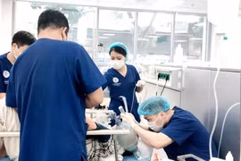 Cấp cứu cho bệnh nhân tại Bệnh viện Trung ương Quân đội 108. (Ảnh: PV/Vietnam+)