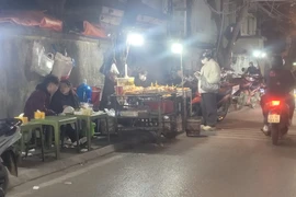 Đa dạng các quán ăn vỉa hè. (Ảnh: Nguyễn Cúc/TTXVN)