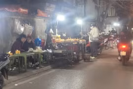 Đa dạng các quán ăn vỉa hè. (Ảnh: Nguyễn Cúc/TTXVN)