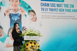 Hội thảo khoa học với chủ đề Chăm sóc mắt trẻ em - Từ lý thuyết đến thực hành. (Ảnh: PV/Vietnam+)