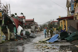 Nhà cửa của người dân tại xã Hoằng Giang (Thanh Hóa) bị gió bão đánh sập và tốc mái ngổn ngang. (Ảnh: Việt Hoàng/TTXVN) 