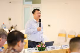 Ông Lê Thanh Dũng - Cục trưởng Dân số (Bộ Y tế) phát biểu tại cuộc họp. (Ảnh: PV/Vietnam+)