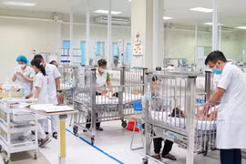 Khoa Cấp cứu và Chống độc (Bệnh viện Nhi Trung ương) đã tiếp nhận nhiều trường hợp bị chó cắn, trong đó có trẻ đa chấn thương nghiêm trọng. (Ảnh: PV/Vietnam+)