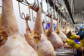 Ảnh minh họa. (Ảnh: TTXVN/Vietnam+)