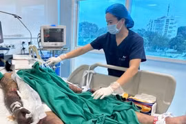 Một trường hợp mắc liên cầu lợn. (Ảnh: PV/Vietnam+)