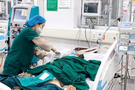 Nhân viên y tế theo dõi sức khỏe cho bệnh nhân ngộ độc rượu điều trị tại Bệnh viện Bệnh Nhiệt đới Trung ương. (Ảnh: PV/Vietnam+)