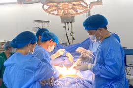 Các bác sỹ Bệnh viện đa khoa Xanh Pôn đã thực hiện thành công ca lấy đa tạng từ người bệnh chết não. (Ảnh: PV/Vietnam+)