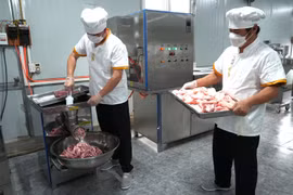 Nhiều công tác đảm bảo an toàn thực phẩm xung quanh kỳ thi. (Ảnh minh họa: TTXVN/Vietnam+)