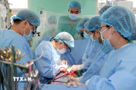 Êkíp bệnh viện Trung ương Huế hiện ghép tim cho bệnh nhân. (Ảnh: TTXVN phát)