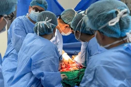 Các bác sỹ thực hiện ca ghép gan cho bệnh nhân. (Ảnh: PV/Vietnam+)
