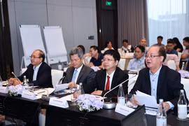 Chương trình đặt mục tiêu xây dựng mô hình quản lý toàn diện cho người bệnh mắc bệnh lý võng mạc và phù hoàng điểm do đái tháo đường. (Ảnh: PV/Vietnam+)