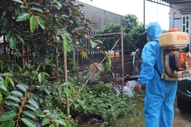 Phun hóa chất diệt muỗi. (Ảnh: TTXVN/Vietnam+)