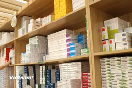 Hiện nay, giá nguyên vật liệu, chi phí đầu vào có xu hướng gia tăng, nguy cơ gián đoạn chuỗi cung ứng toàn cầu. (Ảnh: PV/Vietnam+)