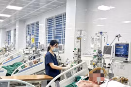 Bệnh nhân mắc thủy đậu trong tình trạng nặng đang điều trị tại Bệnh viện Bệnh Nhiệt đới Trung ương. (Ảnh: PV/Vietnam+)
