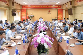Các đại biểu tham dự cuộc họp. (Ảnh: PV/Vietnam+)