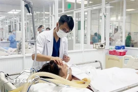 Bác sỹ Bệnh viện Quân y 175, Thành phố Hồ Chí Minh điều trị cho bệnh nhân sốt xuất huyết nặng. (Ảnh: TTXVN/Vietnam+)