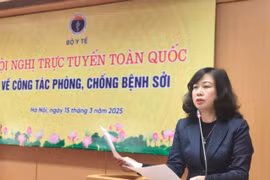 Bộ trưởng Bộ Y tế Đào Hồng Lan phát biểu tại hội nghị. (Ảnh: PV/Vietnam+)