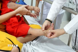 Trẻ em bị bệnh tay chân miệng đang điều trị tại bệnh viện. (Ảnh: TTXVN phát)