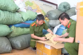 Lực lượng chức năng liên tiếp phát hiện những vụ kinh doanh hàng giả liên quan đến chăm sóc sức khỏe. (Ảnh: PV/Vietnam+)