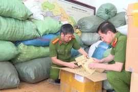Lực lượng chức năng liên tiếp phát hiện những vụ kinh doanh hàng giả liên quan đến chăm sóc sức khỏe. (Ảnh: PV/Vietnam+)